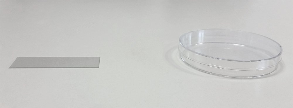 Glass slide and Petri dish Glass slide and Petri dish